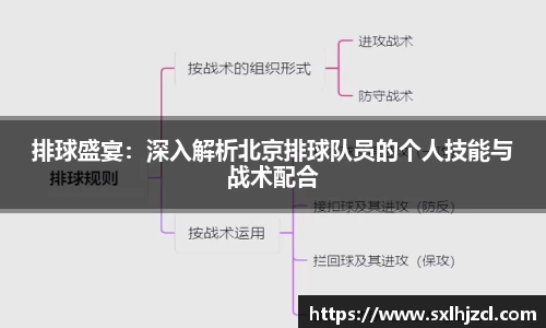 排球盛宴：深入解析北京排球队员的个人技能与战术配合