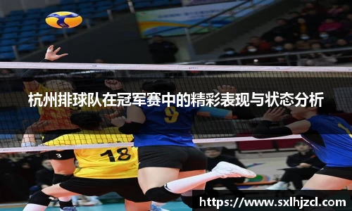 杭州排球队在冠军赛中的精彩表现与状态分析